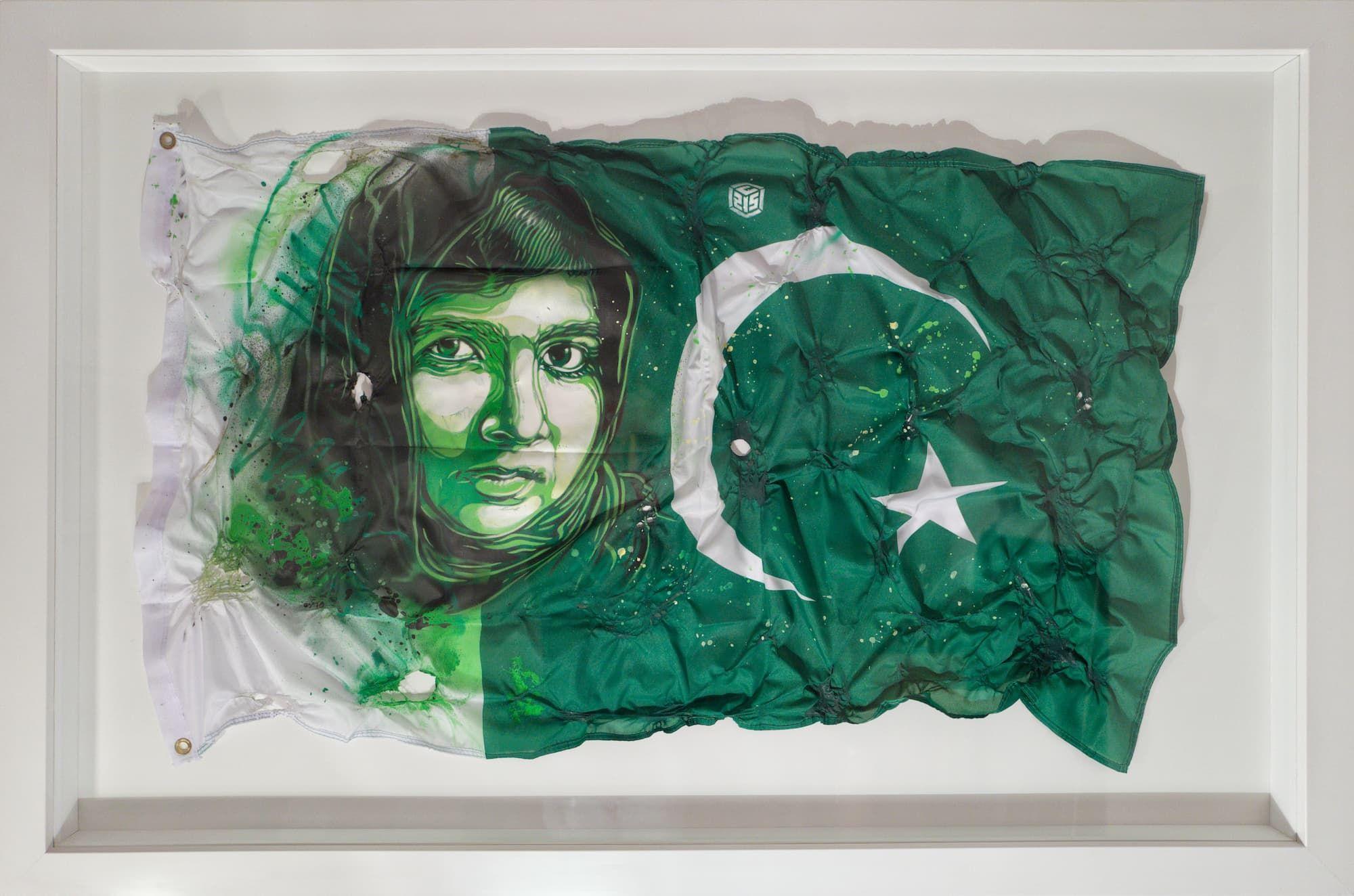 [fr]C215 - Malala Yousafzai - Pochoir sur le drapeau du Pakistan[en]C215 - Malala Yousafzai - Stencil on Pakistani flag