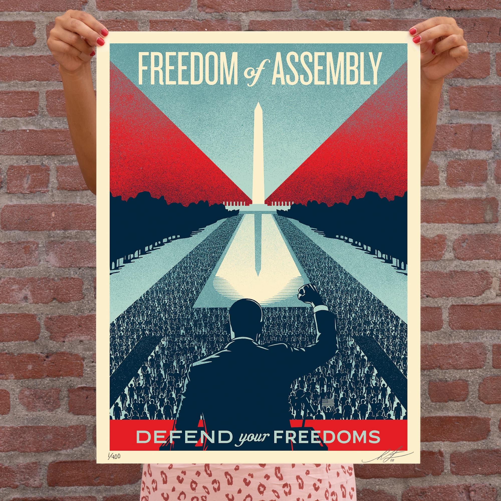 Defend your freedoms - Freedom of assembly - Shepard Fairey Obey Giant | Galerie Jumble - Art Urbain / Street Art
