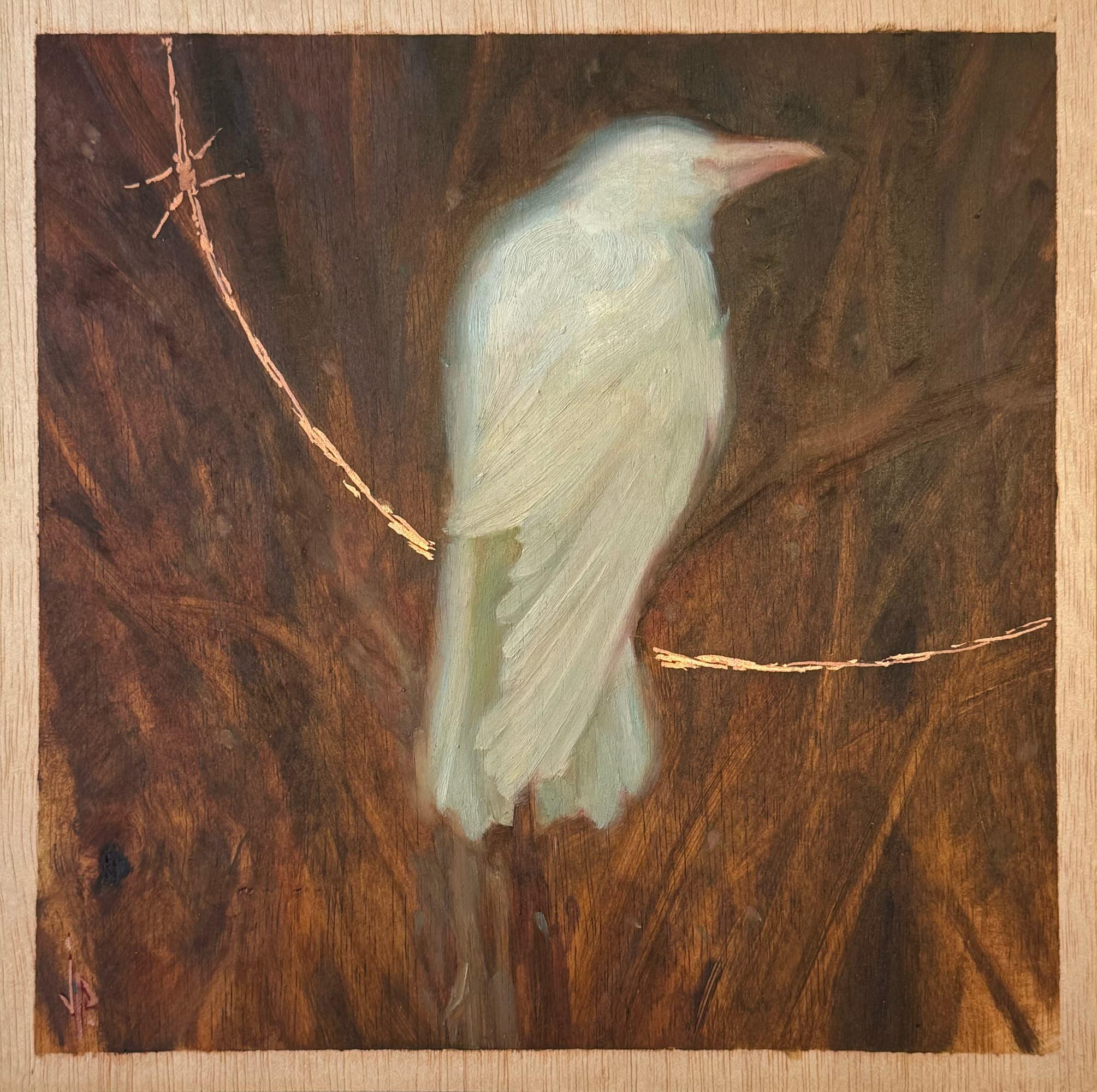 Jotapé - Foi pèlerine